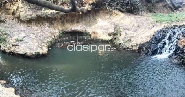 Lote en Isla Alta - Nueva Colombia, foto 2