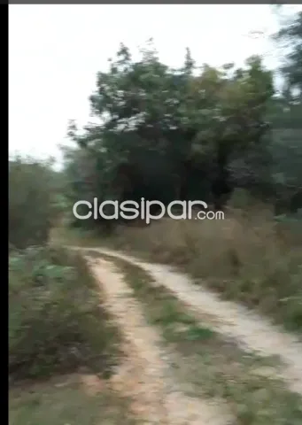 Lote en Isla Alta - Nueva Colombia, foto 3