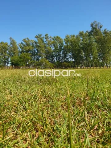 Villa hayes zona saladillo a pasos del casco urbano vendo hermosa propiedad — foto 5