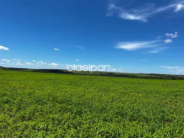8.920.550 metros cuadrados. C/Área de sede equipada. Especial para Agrícultura. Vendo/Reci, foto 5