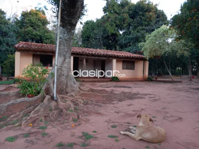 Dep De Paraguariybycui Vendo Propiedad De 26 Hectareas Con Arroyo A 5 Kms Del Asfalto — foto 3