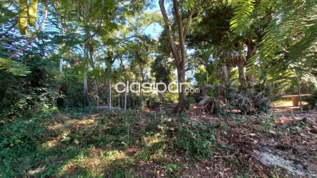 Terreno en itaugua cod 2015 — foto 5