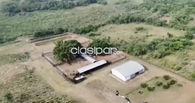 Granja Ganadera Operativa en Piribebuy - 12 Ha — foto 2