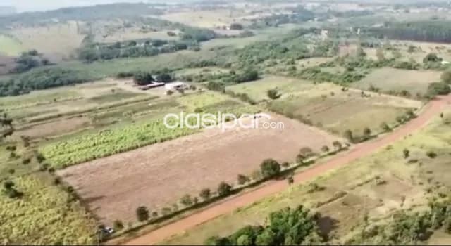 Granja Ganadera Operativa en Piribebuy - 12 Ha — foto 4