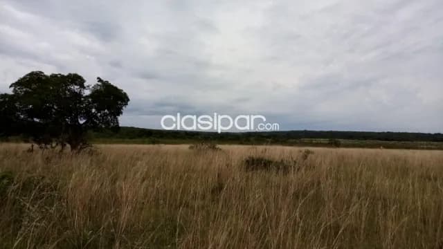 Granja Ganadera en Nueva Colombia - 13 Ha — foto 3