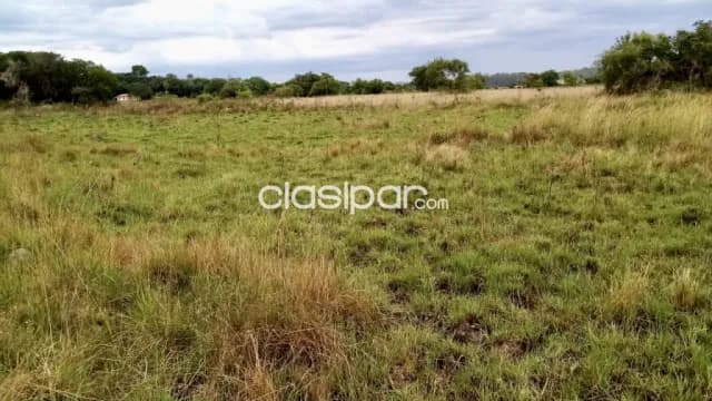 Granja Ganadera en Nueva Colombia - 13 Ha — foto 4