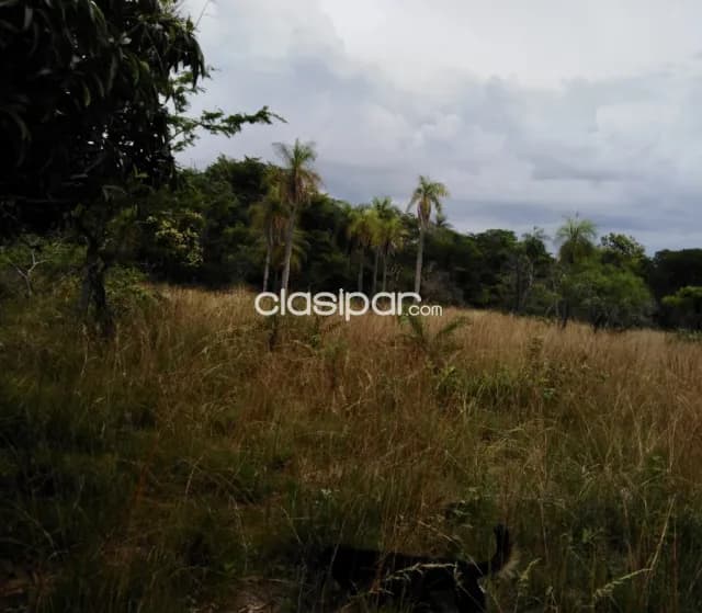 Granja Ganadera en Nueva Colombia - 13 Ha — foto 5