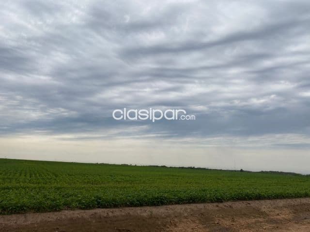 Campo de 600 has en San Cosme y Damián, Itapuá-CLCS5194561, foto 1