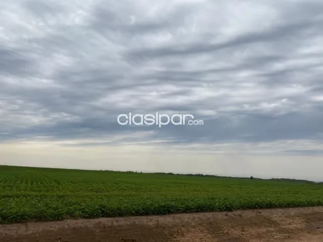 Campo de 600 has en San Cosme y Damián, Itapuá-CLCS5194561, foto 2