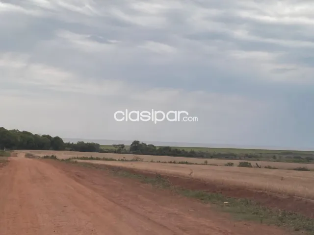 Campo de 600 has en San Cosme y Damián, Itapuá-CLCS5194561, foto 3