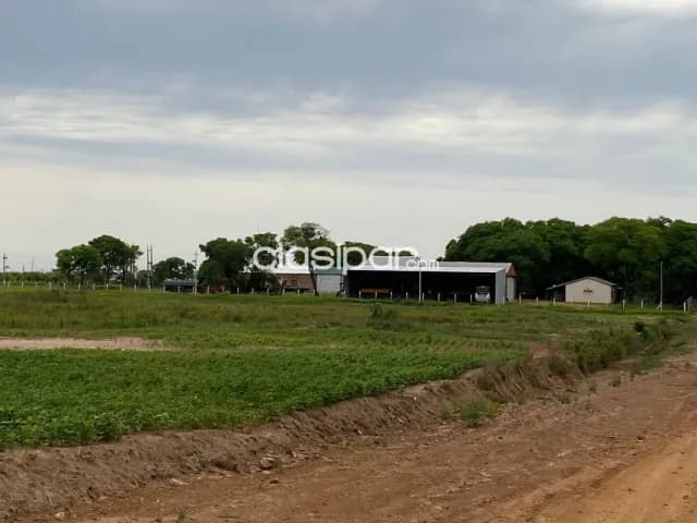Campo de 600 has en San Cosme y Damián, Itapuá-CLCS5194561, foto 5