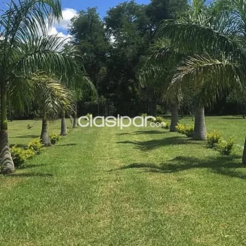 Casa quinta en paraguari — foto 4