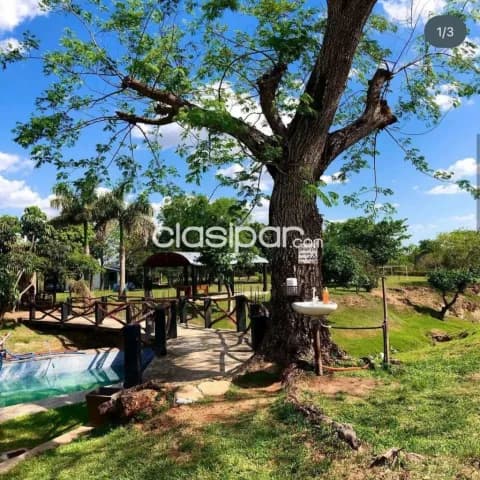 Casa quinta en paraguari — foto 2