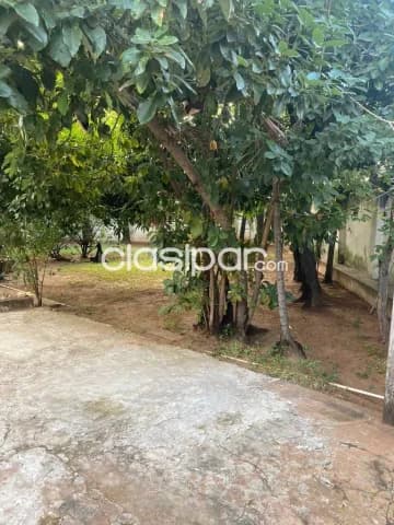 propiedad en imponente esquina de barrio Jara. ID 15118 — foto 5