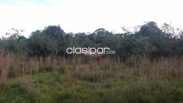 Ventas de 46 ha.en Nueva Colombia