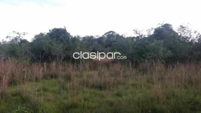 Ventas de 46 ha.en Nueva Colombia — foto 2