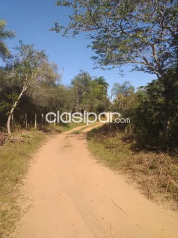 Ventas de 46 ha.en Nueva Colombia — foto 4