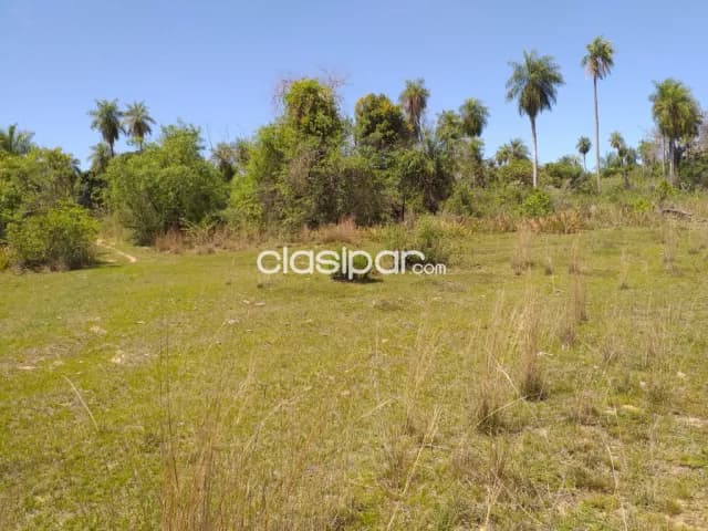 Ventas de 46 ha.en Nueva Colombia — foto 5