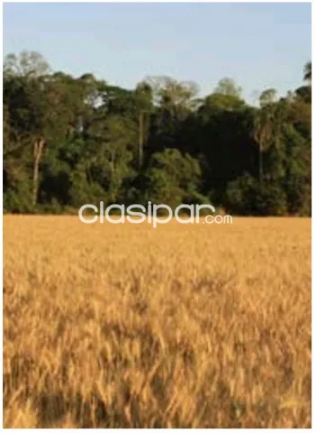Caazapa – alto paraná: 23.911 has, estancia modelo agro-ganadera s/ rio monday, foto 3
