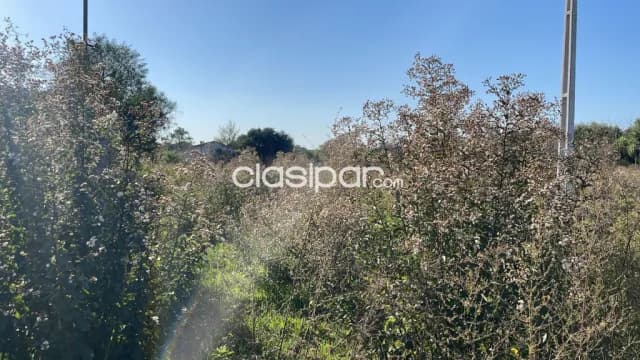 Terreno en San Bernardino — foto 5
