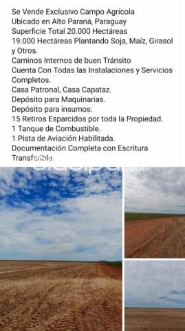Alto parana: 20.000 has, campo agrícola formado, soja, maíz, girasol, etc. 10.000 usd/ha, foto 1