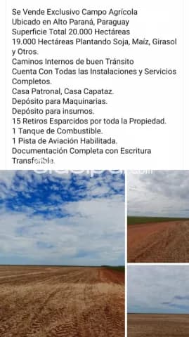 Alto parana: 20.000 has, campo agrícola formado, soja, maíz, girasol, etc. 10.000 usd/ha, foto 2