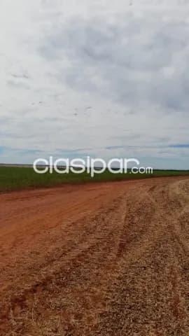 Alto parana: 20.000 has, campo agrícola formado, soja, maíz, girasol, etc. 10.000 usd/ha, foto 4