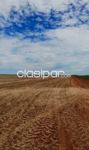Alto parana: 20.000 has, campo agrícola formado, soja, maíz, girasol, etc. 10.000 usd/ha, foto 5