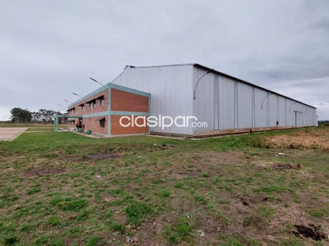Propiedad de 5.6 has. Con deposito 5.500 m2 en parque industrial – villeta‼️ c-1094 — foto principal