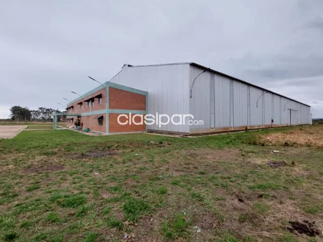 Propiedad de 5.6 has. Con deposito 5.500 m2 en parque industrial – villeta‼️ c-1094 — foto 2