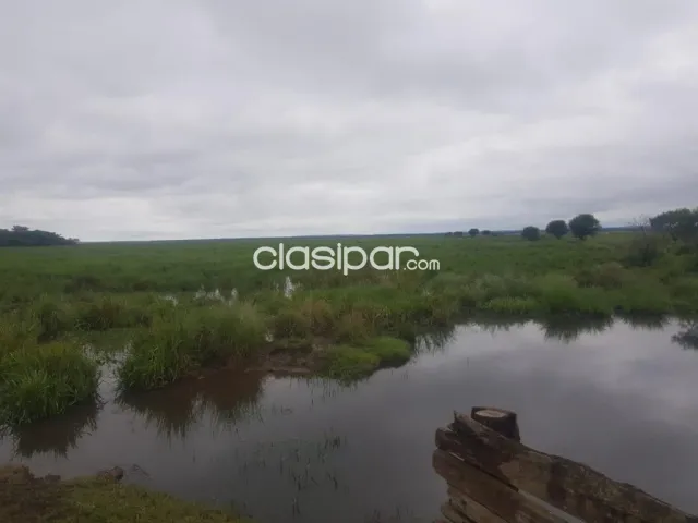 Caazapa – paraguarí: 2.937 has (divisibles), campo natural, titulo a transferir — foto 3