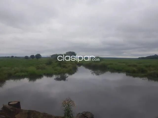 Caazapa – paraguarí: 2.937 has (divisibles), campo natural, titulo a transferir — foto 4