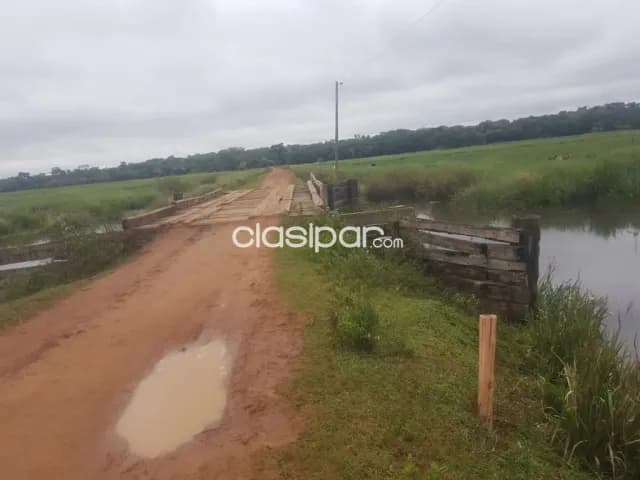 Caazapa – paraguarí: 2.937 has (divisibles), campo natural, titulo a transferir — foto 5