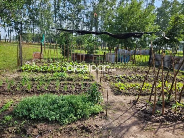 Propiedad Ciudad de Villa Hayes, foto 4