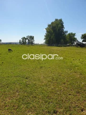 Propiedad Ciudad de Villa Hayes, foto 5