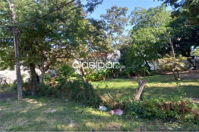 Terreno en venta. Ideal para desarrollos!!!, foto 3