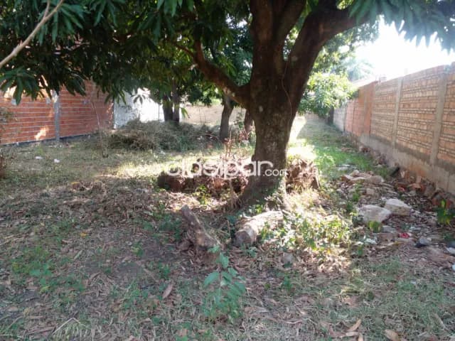 Terreno en Mariano Roque Alonso — foto 5