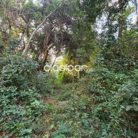 Excelente Oportunidad EN VENTA TERRENO en la maravillosa ciudad de ATYRA, foto 4