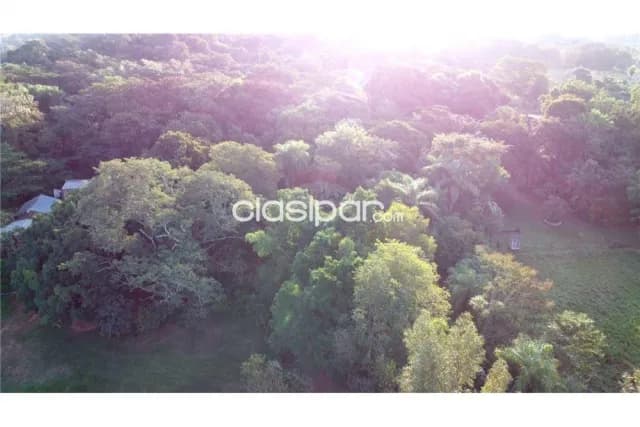 Terreno en venta- Luque (itapuamí) 33180m² — foto 4