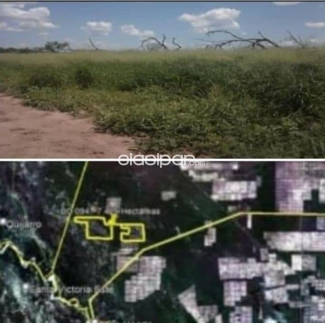 Picada 500 – boquerón: 7.425 has, desmontadas, pasturas, monte, 8.000 usd/ ha, foto 1