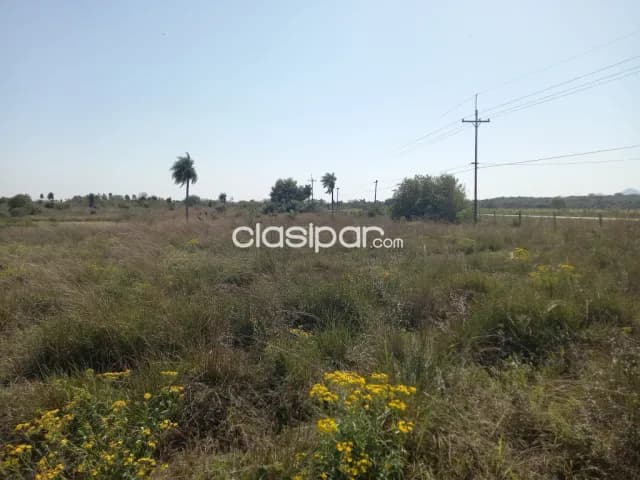 Propiedad de 29 Hectareas con 7927 m2 en la Localidad de Ybycui — foto 4