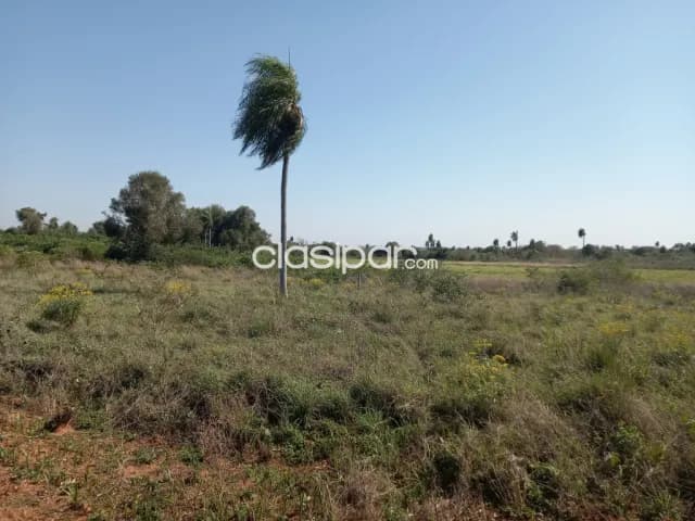 Propiedad de 29 Hectareas con 7927 m2 en la Localidad de Ybycui — foto 5