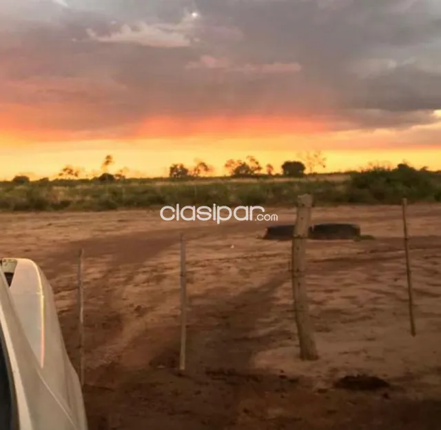 Estancia de 1543 has en el Distrito Filadelfia, Boquerón-LCS5355669, foto 4