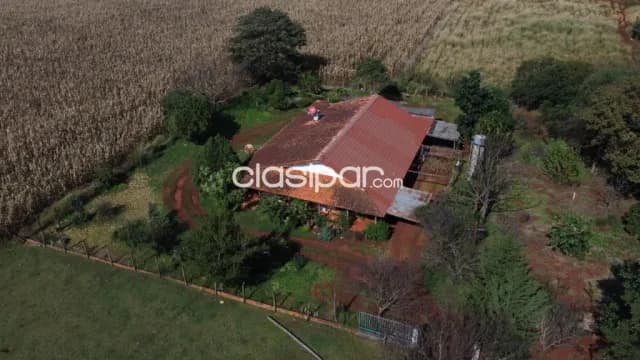 Col. Yguazú – alto parana: 80 has, estancia modelo en funcionamiento, pastura, monte, foto 3