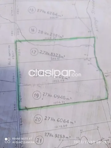 Col. Yguazú – alto parana: 80 has, estancia modelo en funcionamiento, pastura, monte, foto 4