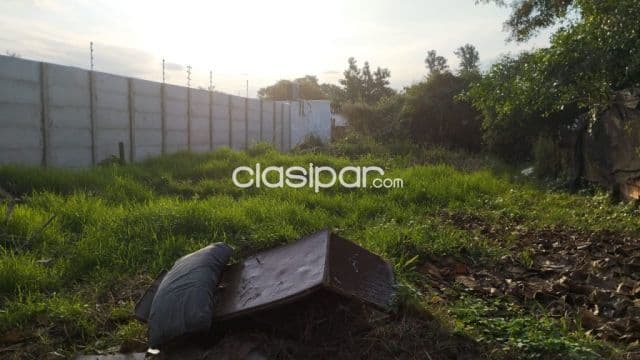 Terreno en San Lorenzo zona britez borges cod 1708