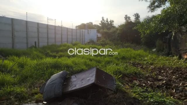 Terreno en San Lorenzo zona britez borges cod 1708 — foto 2