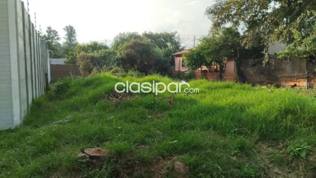 Terreno en San Lorenzo zona britez borges cod 1708 — foto 4