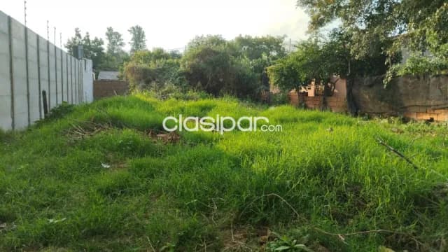 Terreno en San Lorenzo zona britez borges cod 1708 — foto 5