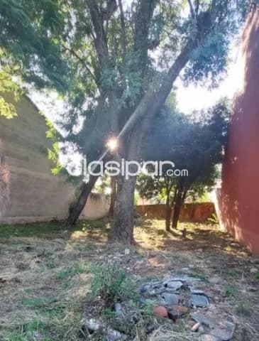 Terreno de 360 m2 en Carmelitas, Zona Casa Rica-LLA5397810 — foto 2